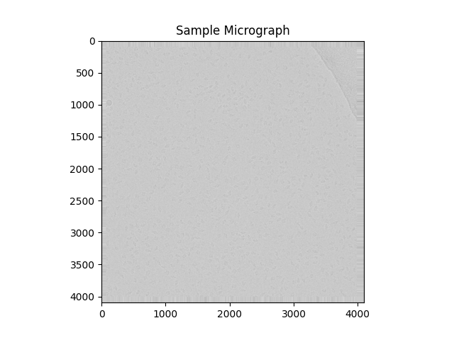 Sample Micrograph