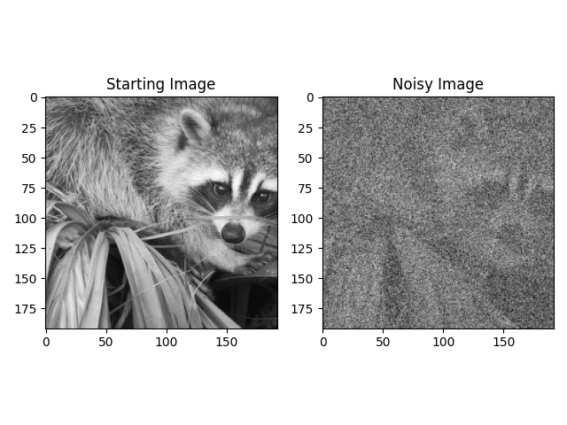 Starting Image, Noisy Image