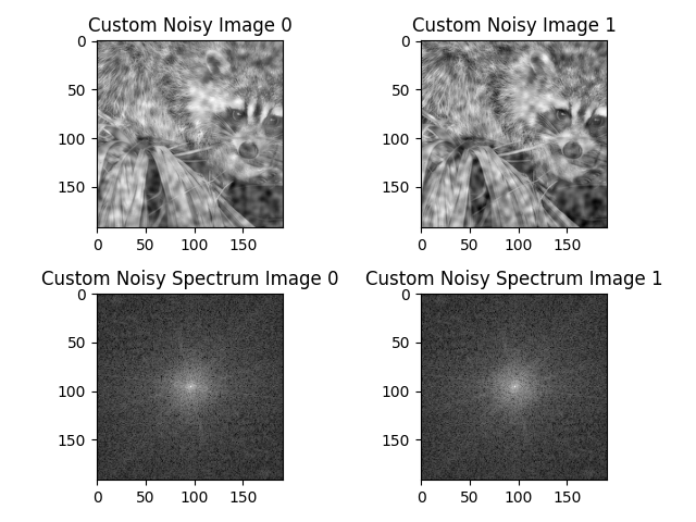 Custom Noisy Image 0, Custom Noisy Image 1, Custom Noisy Spectrum Image 0, Custom Noisy Spectrum Image 1