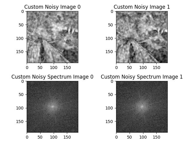 Custom Noisy Image 0, Custom Noisy Image 1, Custom Noisy Spectrum Image 0, Custom Noisy Spectrum Image 1