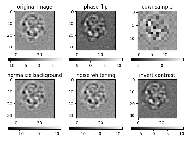 original image, phase flip, downsample, normalize background, noise whitening, invert contrast