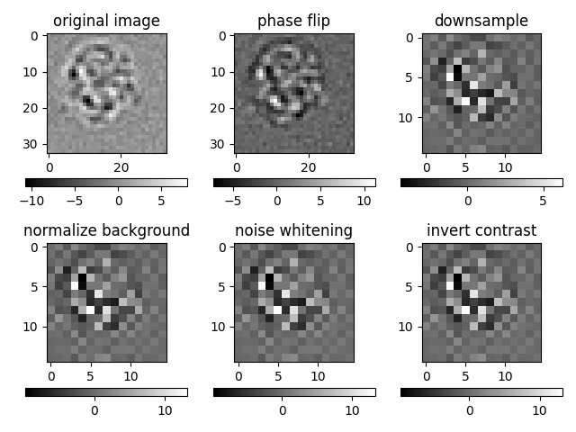 original image, phase flip, downsample, normalize background, noise whitening, invert contrast